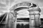 Clos des Corvees 9953.jpg